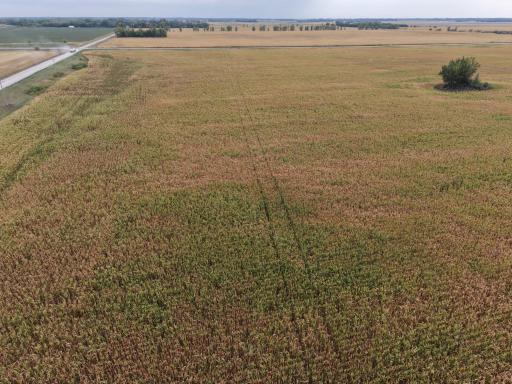 dji_fly_20260911_164210_0093_1789163226090_photo.jpeg