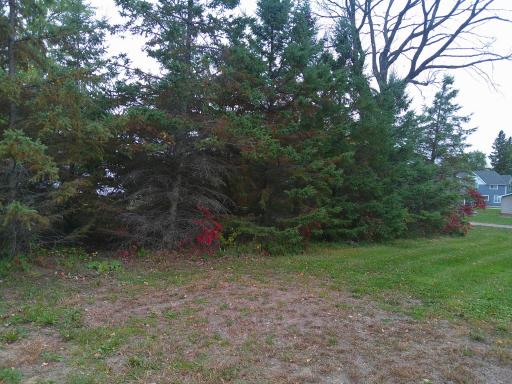 51170 Rush Lake Trail, Rush City, MN 55069