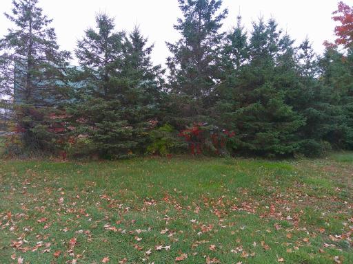 51170 Rush Lake Trail, Rush City, MN 55069