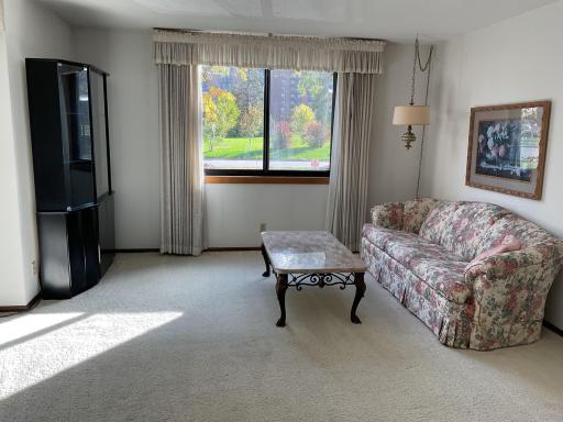 7200 York Avenue S, 101, Edina, MN 55435