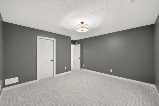 4523 166th Avenue NW, Andover, MN 55304