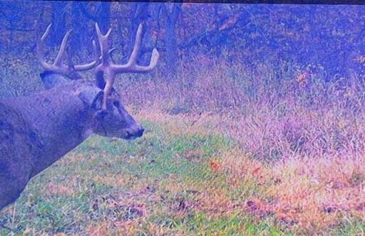TBD190 HWY 30, Rushford, MN 55951