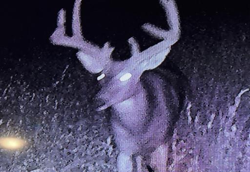TBD190 HWY 30, Rushford, MN 55951