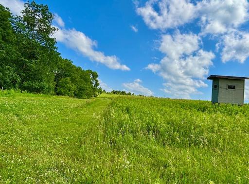 TBD190 HWY 30, Rushford, MN 55951
