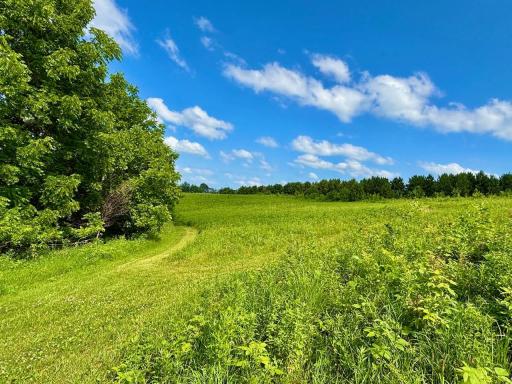 TBD190 HWY 30, Rushford, MN 55951