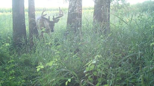 - Lake Andrew Township, New London, MN 56273