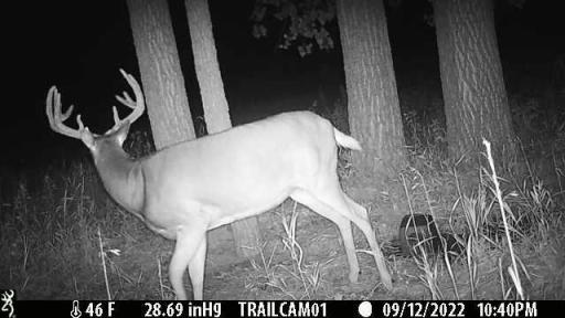 - Lake Andrew Township, New London, MN 56273