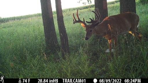 - Lake Andrew Township, New London, MN 56273