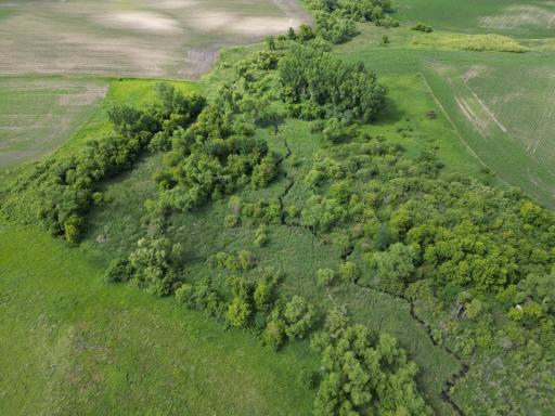 dji_fly_20260623_052620_504_1782162833883_photo.jpeg