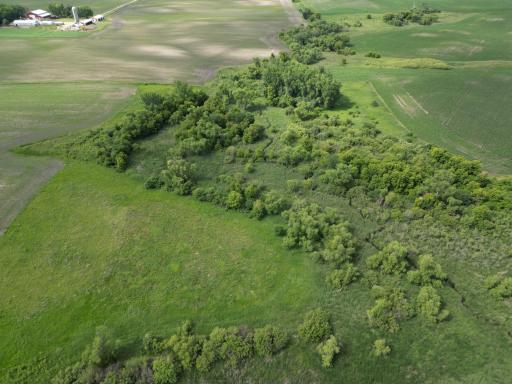 dji_fly_20260623_052610_503_1782162835031_photo.jpeg