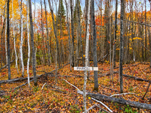 Parcel 1 County Road A, Solon Springs, WI 54873