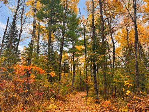 Parcel 1 County Road A, Solon Springs, WI 54873