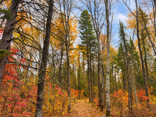 Parcel 1 County Road A, Solon Springs, WI 54873