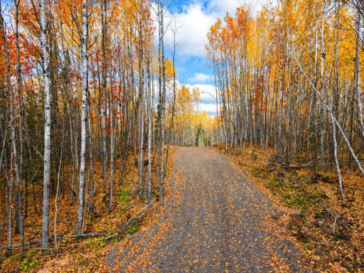 Parcel 2 County Road A, Solon Springs, WI 54873
