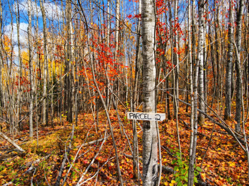 Parcel 2 County Road A, Solon Springs, WI 54873