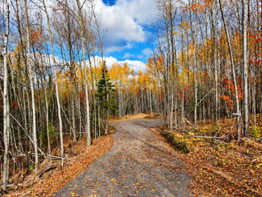 Parcel 2 County Road A, Solon Springs, WI 54873