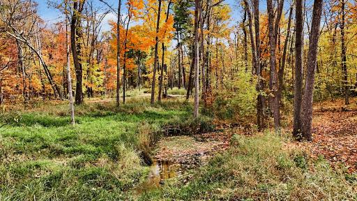 17881 Feather Lane, Pine City, MN 55063