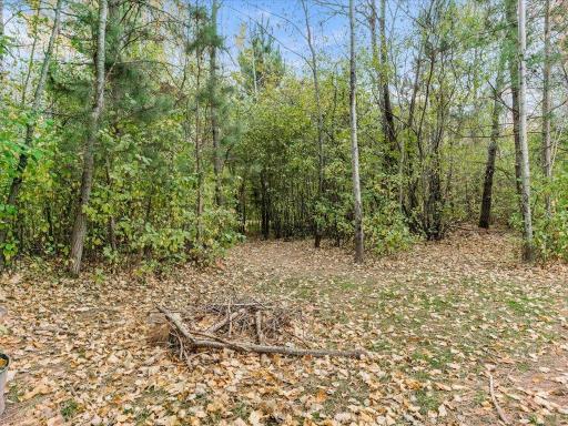 No need for a privacy fence when the trees are what surrounds you