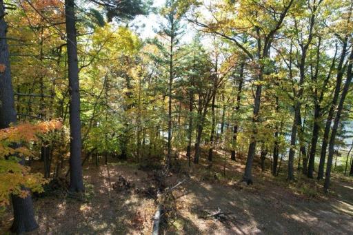 dji_fly_20261009_105542_633_1791561718589_photo.jpg