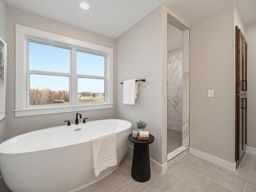 20648 Tamarack St NW Oak Grove MN 55011 USA-026-013-Primary Bathroom-MLS_Size.jpg