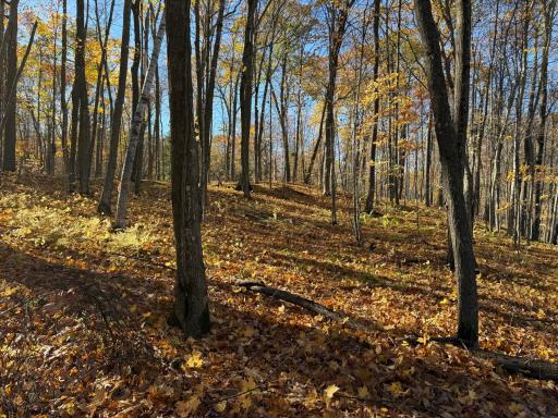 TBD County Hwy MD, Sarona, WI 54870