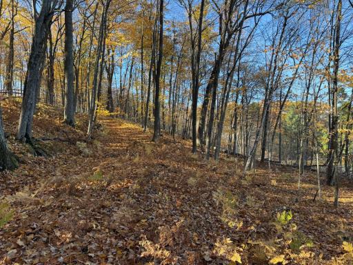TBD County Hwy MD, Sarona, WI 54870
