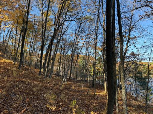 TBD County Hwy MD, Sarona, WI 54870