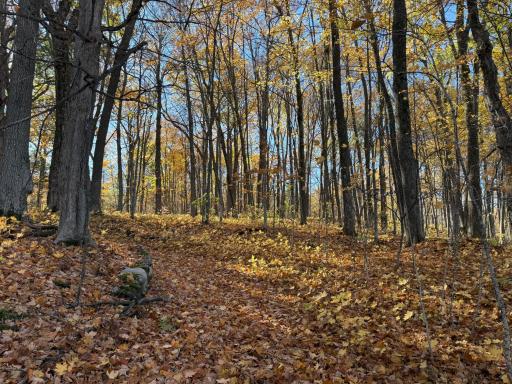 TBD County Hwy MD, Sarona, WI 54870