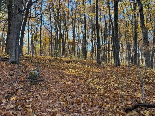 TBD County Hwy MD, Sarona, WI 54870