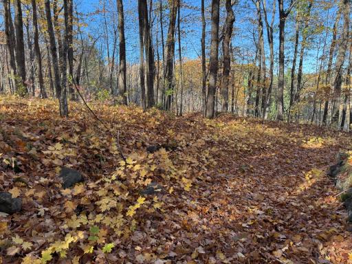 TBD County Hwy MD, Sarona, WI 54870