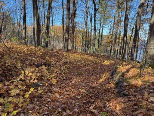 TBD County Hwy MD, Sarona, WI 54870