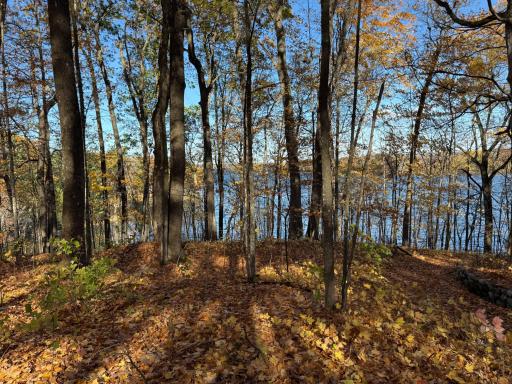 TBD County Hwy MD, Sarona, WI 54870