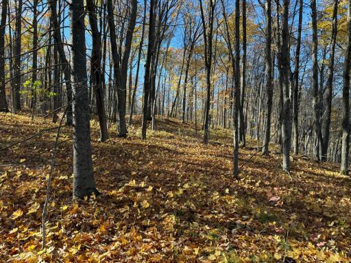 TBD County Hwy MD, Sarona, WI 54870
