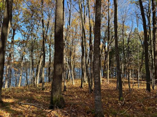 TBD County Hwy MD, Sarona, WI 54870