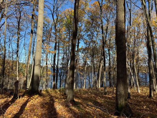 TBD County Hwy MD, Sarona, WI 54870
