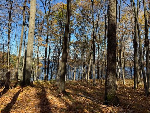 TBD County Hwy MD, Sarona, WI 54870