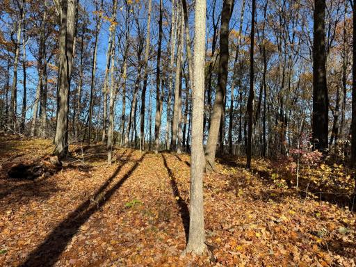 TBD County Hwy MD, Sarona, WI 54870