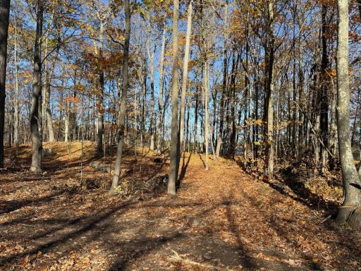 TBD County Hwy MD, Sarona, WI 54870