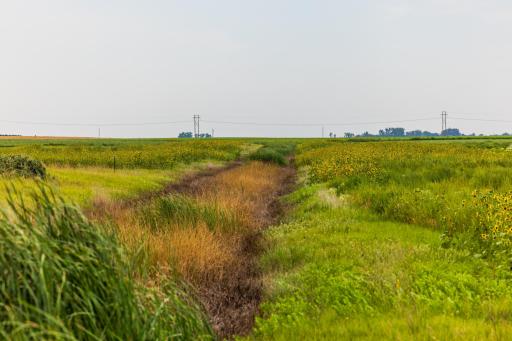 TBD 98 St NE Lot 3, Bottineau, ND 58318