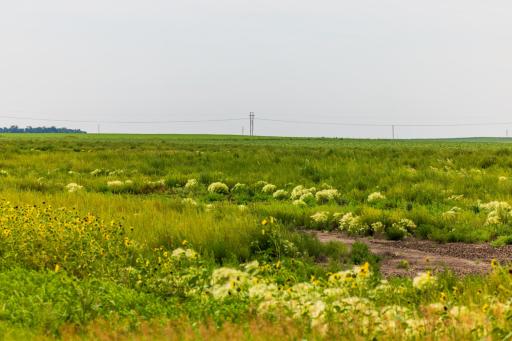 TBD 98 St NE Lot 3, Bottineau, ND 58318