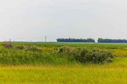TBD 98 St NE Lot 3, Bottineau, ND 58318