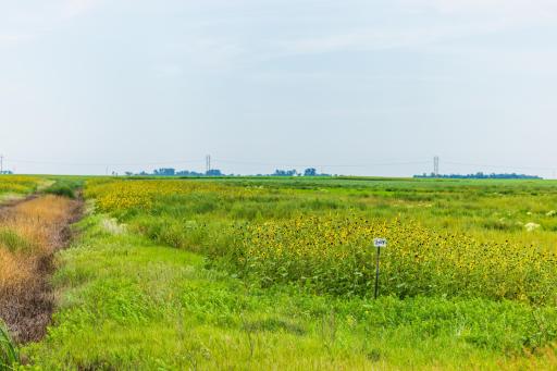 TBD 98 St NE Lot 3, Bottineau, ND 58318