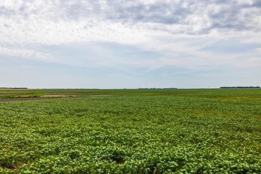 TBD 98 St NE Lot 3, Bottineau, ND 58318