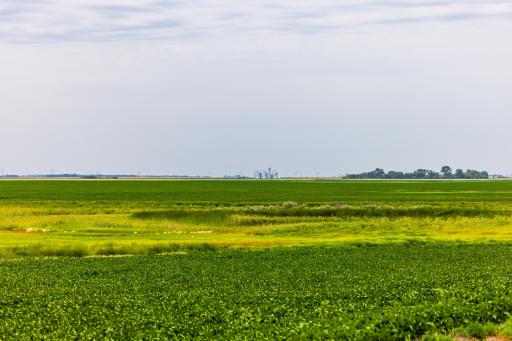 TBD 98 St NE Lot 3, Bottineau, ND 58318