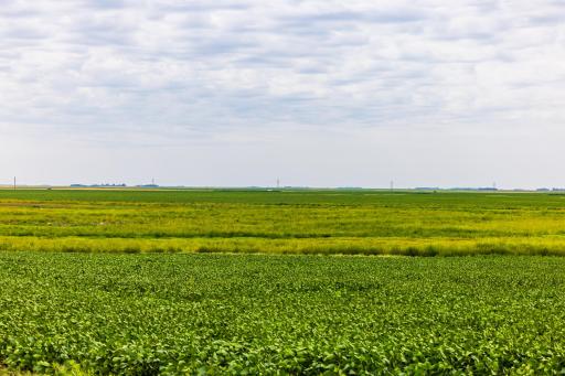 TBD 98 St NE Lot 3, Bottineau, ND 58318