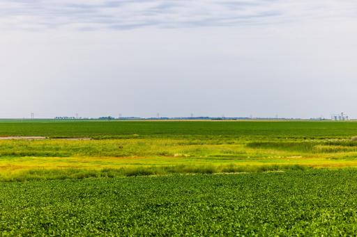 TBD 98 St NE Lot 3, Bottineau, ND 58318