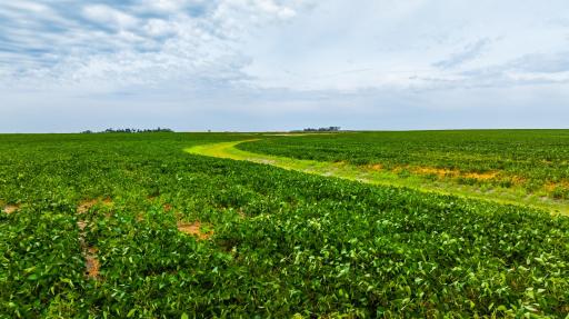 TBD 98 St NE Lot 3, Bottineau, ND 58318