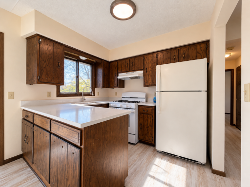 8223 Brunswick Circle N, Brooklyn Park, MN 55443