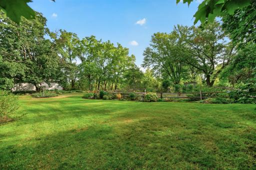 Spacious garden area with very rich soil in nutrients.