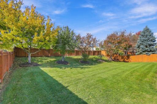 9915 Chestnut Avenue N, Brooklyn Park, MN 55443